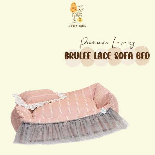 Premium Luxury Brulee Lace Soft Sofa Pet Bed